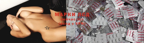 скорость Каменногорск