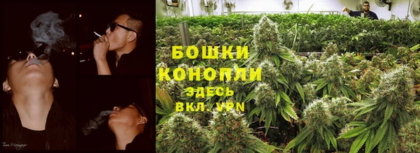 скорость Каменногорск
