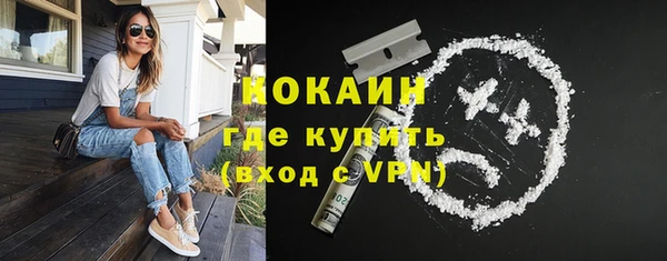 прущий лед Каменка